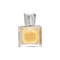 Incandessence (1/2)