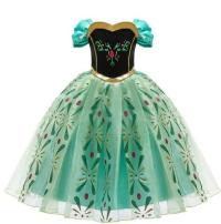 Kostym anna frozen (1/1)