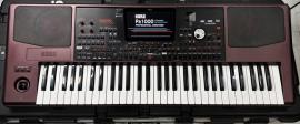 Korg pa-1000 arranger (1/4)