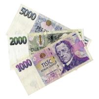 Rychlá a legitimní půjčka (1/1)