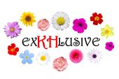 EXKHLUSIVE